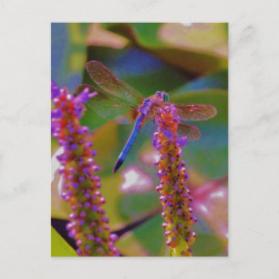 Fuchsienfliege und Blume Postkarte