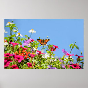 Fuchsieschild auf Petunienblumen mit blauem Himmel Poster