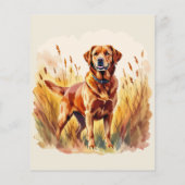 Fuchsroter Labrador Retriever Hund (Rückseite)