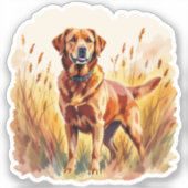 Fuchsroter Labrador Retriever Hund Aufkleber (Vorderseite)