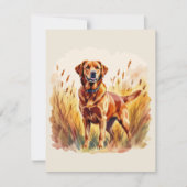 Fuchsroter Labrador Retriever Hund Einladung (Vorderseite)