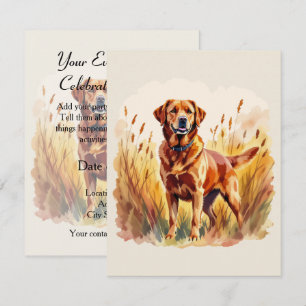Fuchsroter Labrador Retriever Hund Einladung