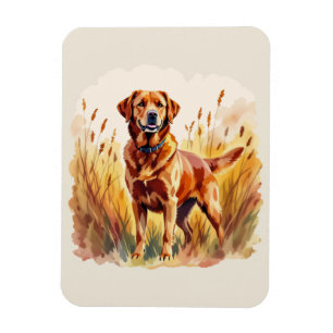 Fuchsroter Labrador Retriever Hund Magnet