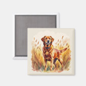 Fuchsroter Labrador Retriever Hund Magnet (Vorderseite/Rückseite)