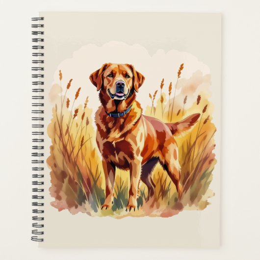 Fuchsroter Labrador Retriever Hund Planer (Vorderseite)