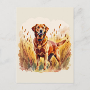 Fuchsroter Labrador Retriever Hund Postkarte