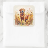 Fuchsroter Labrador Retriever Hund Quadratischer Aufkleber (Tasche)