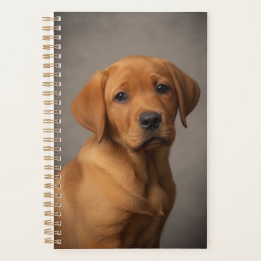 Fuchsroter Labrador Retriever Planer (Vorderseite)
