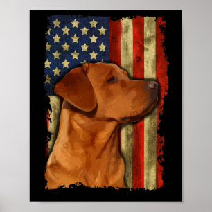 Fuchsroter Labrador Retriever US-Flagge Fuchsroter Poster