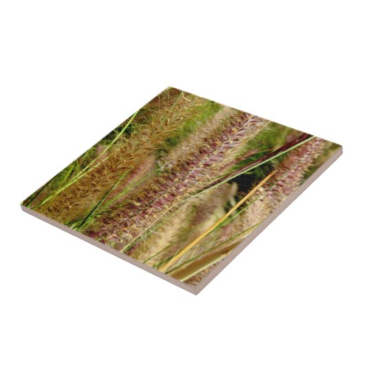 Fuchsschwanzgrasmakrophotographiebild Fliese (Seite)