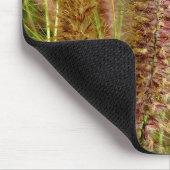 Fuchsschwanzgrasmakrophotographiebild Mousepad (Ecke)