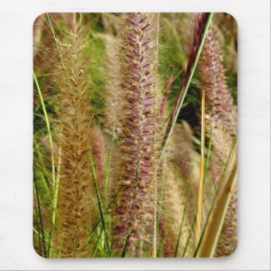Fuchsschwanzgrasmakrophotographiebild Mousepad