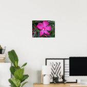 Fucshia Oleander Foto Poster (Heimbüro)