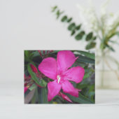 Fucshia Oleander Foto Postkarte (Stehend Vorderseite)