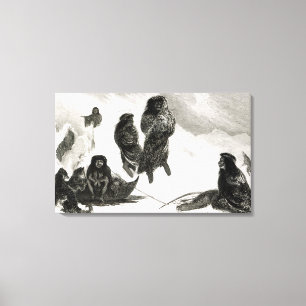 Fuegier handeln in Zapallos Leinwanddruck