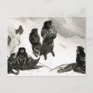 Fuegier handeln in Zapallos Postkarte
