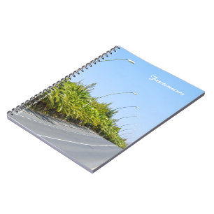 Fuerteventura Notizbuch Notizblock