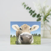 Fuessen, Bayern, Deutschland Postkarte (Stehend Vorderseite)