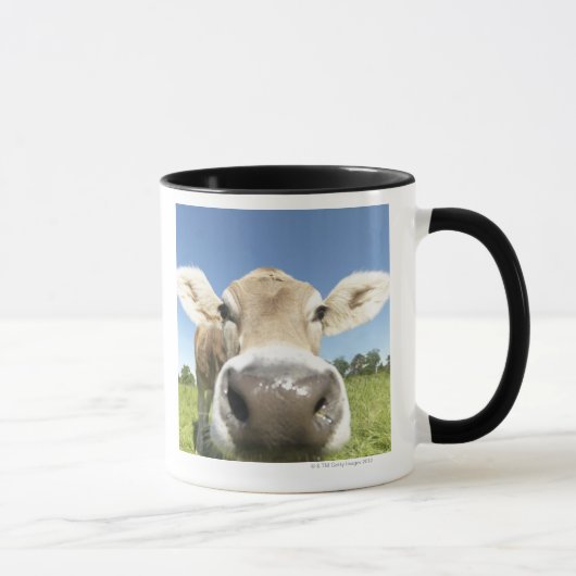 Fuessen, Bayern, Deutschland Tasse (Rechts)