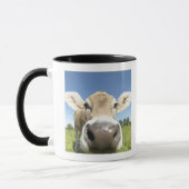 Fuessen, Bayern, Deutschland Tasse (Links)