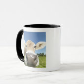 Fuessen, Bayern, Deutschland Tasse (Vorderseite Links)