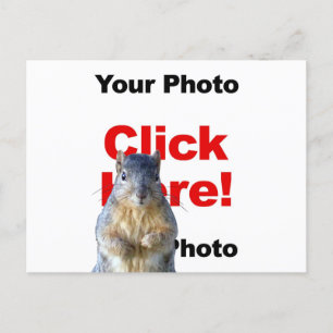 Füge ein Eichhörnchen benutzerdefinierte Foto-Post Postkarte