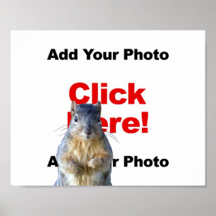 Füge ein Eichhörnchen benutzerdefiniertes Fotoplak Poster