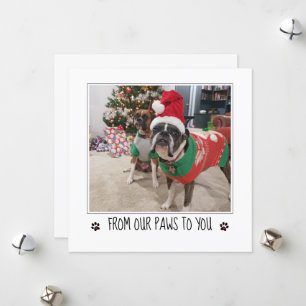Füge ein Foto zum Weihnachten vom Hund hinzu