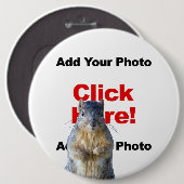 Füge einen Eichhörnchen-Button mit benutzerdefinie Button (Vorne & Hinten)