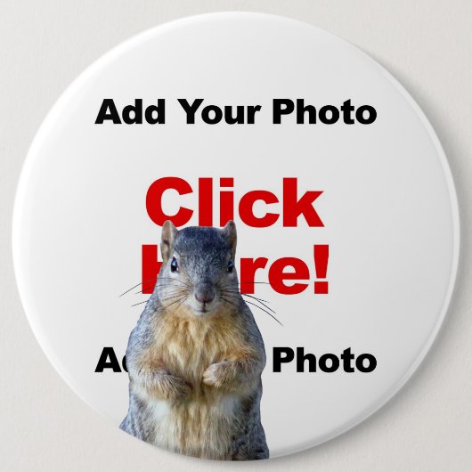 Füge einen Eichhörnchen-Button mit benutzerdefinie Button (Vorderseite)