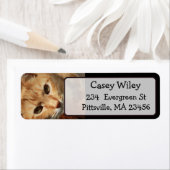 Fügen Sie das Foto Ihrer Katze diesem Adressetiket (Insitu)