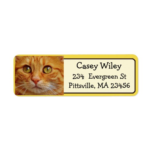 Fügen Sie das Foto Ihrer Katze diesem Adressetiket (Vorne)