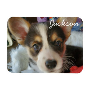 Fügen Sie dazu das Foto Ihres Haustiers hinzu Magnet