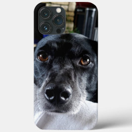 Fügen Sie dem benutzerdefinierten Foto Ihres Hunde Case-Mate iPhone Hülle