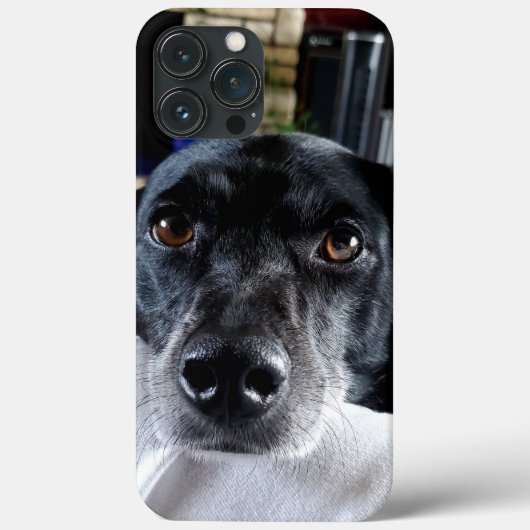 Fügen Sie dem benutzerdefinierten Foto Ihres Hunde Case-Mate iPhone Hülle (Rückseite)