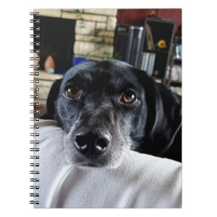 Fügen Sie dem benutzerdefinierten Foto Ihres Hunde Notizblock