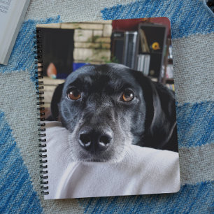 Fügen Sie dem benutzerdefinierten Foto Ihres Hunde Planer