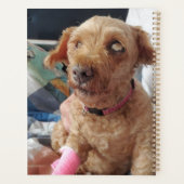 Fügen Sie dem benutzerdefinierten Foto Ihres Hunde Planer (Rückseite)