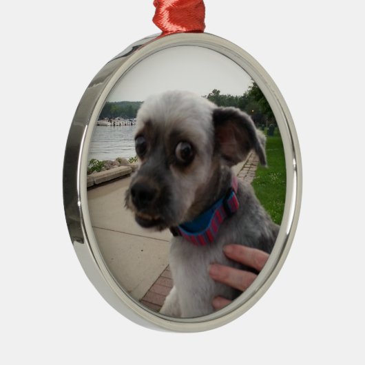 Fügen Sie diesem Ornament das Foto Ihres Hundes hi (Rechts)