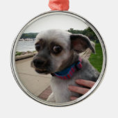 Fügen Sie diesem Ornament das Foto Ihres Hundes hi (Vorne)