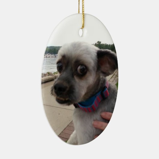 Fügen Sie diesem Ornament das Foto Ihres Hundes hi (Rechts)