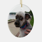 Fügen Sie diesem Ornament das Foto Ihres Hundes hi (Rechts)