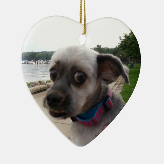Fügen Sie diesem Ornament das Foto Ihres Hundes hi (Rechts)