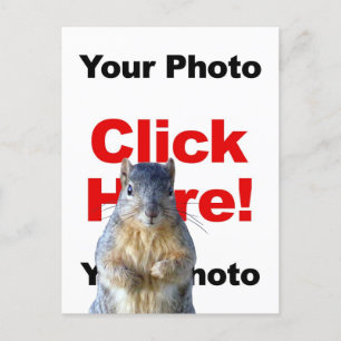 Fügen Sie ein benutzerdefiniertes Eichhörnchen-Fot Postkarte