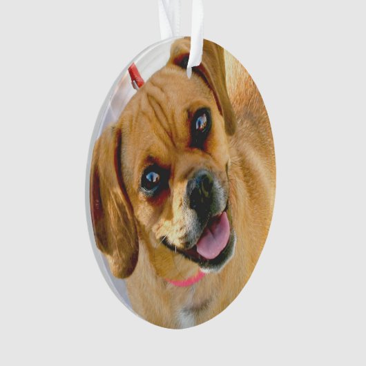 Fügen Sie ein Foto und jeden möglichen Text auf Ornament (Vorderseite)