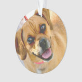 Fügen Sie ein Foto und jeden möglichen Text auf Ornament (Vorderseite)