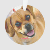 Fügen Sie ein Foto und jeden möglichen Text auf Ornament (Vorderseite)