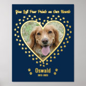 Fügen Sie Ihr eigenes benutzerdefiniertes Foto Pet Foliendrucke (Vorderseite)