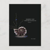 Fügen Sie Ihr eigenes Buch-Cover-Autor-Promo Postkarte (Vorderseite)