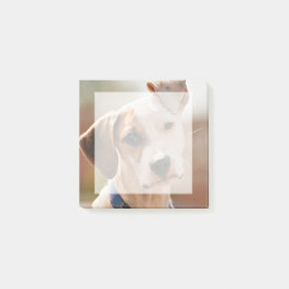 Fügen Sie Ihr eigenes Haustierfotoquadrat ein Post-it Klebezettel